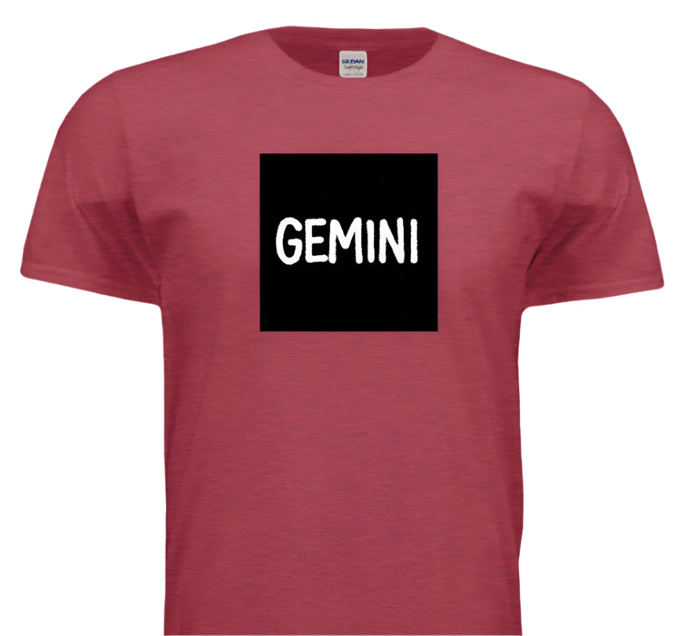 “Gemini Frequency”