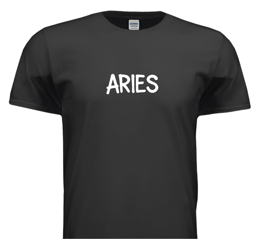 “Ram It, Slam It, Aries It”