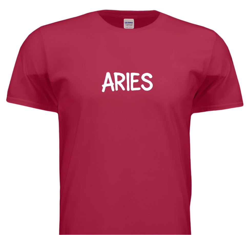 “Ram It, Slam It, Aries It”