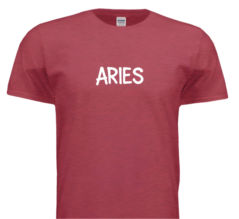 “Ram It, Slam It, Aries It”